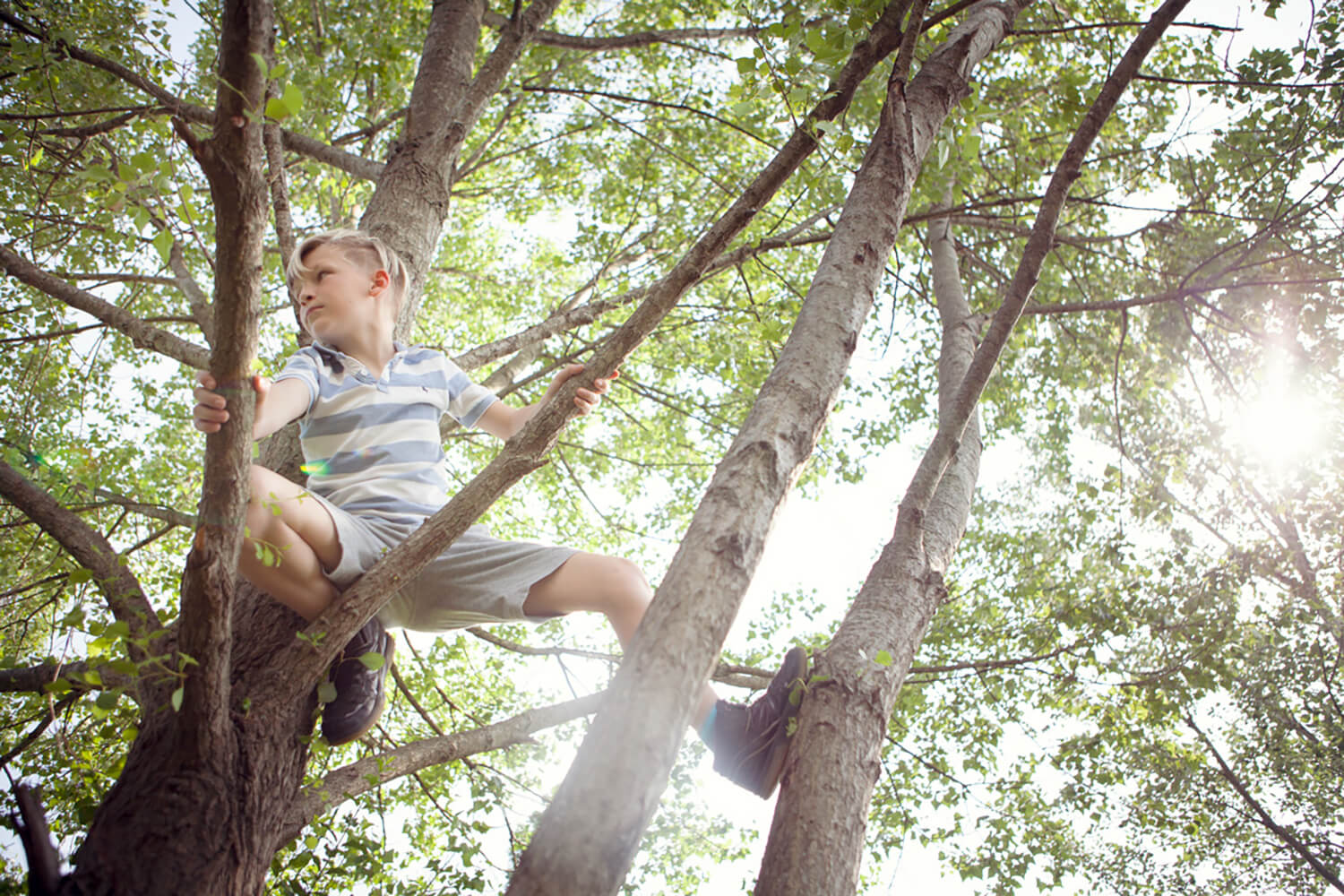 Kid on a tree in Cinque Terre park
